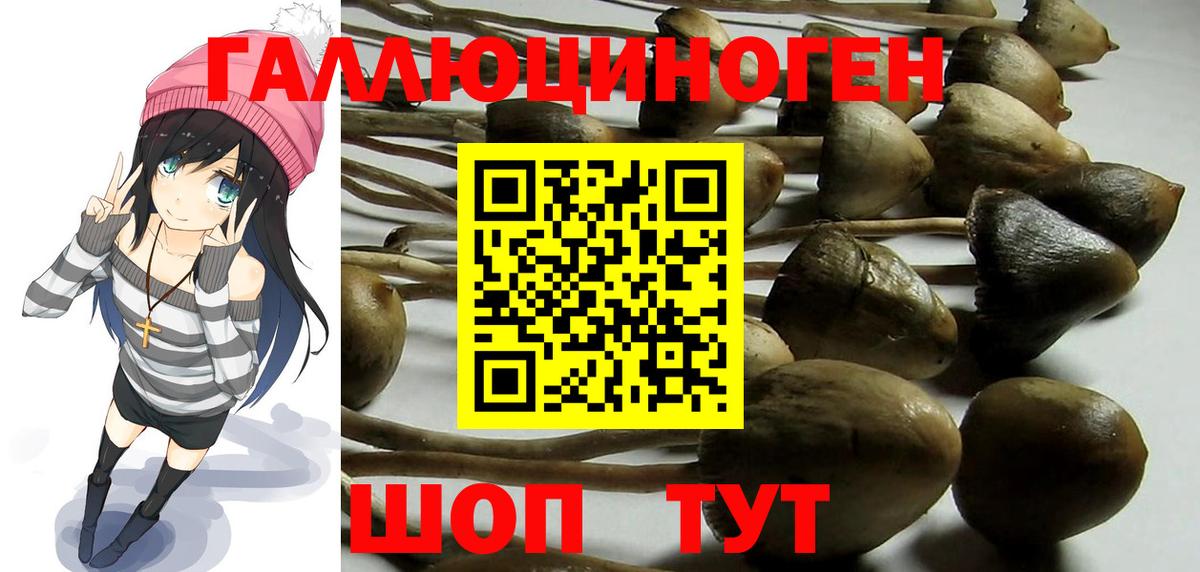 Псилоцибиновые грибы мухоморы Мыски