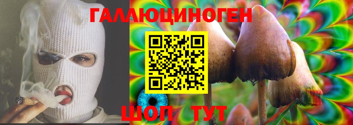 купить  цена  Псилоцибиновые грибы MAGIC MUSHROOMS  Вход с VPN  Мыски 