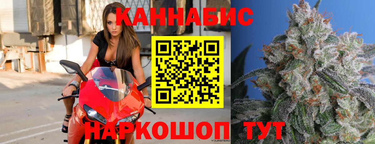 Канабис план Мыски